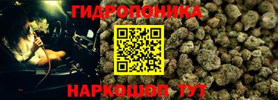 не бодяженный Новодвинск